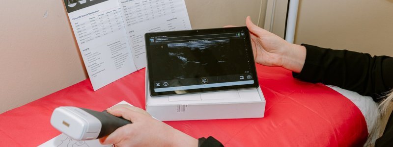 Medical AI: Big Disruptor or Great Leveller?